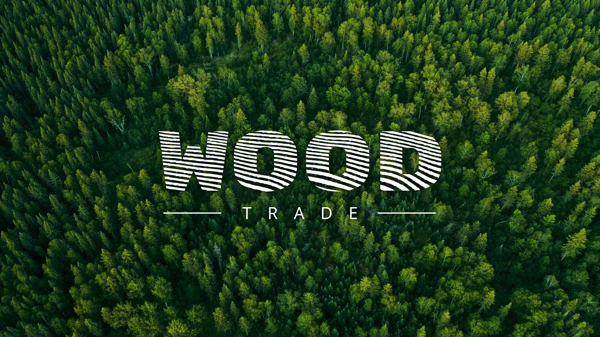 Разработка интернет-магазина компании «Wood Trade» в Жиздре