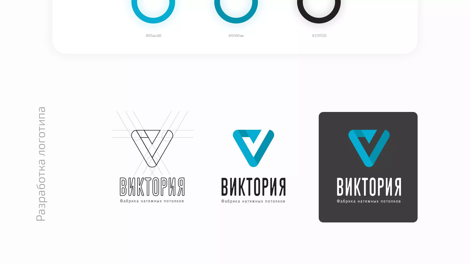 Разработка фирменного стиля компании по продаже и установке натяжных потолков в Жиздре